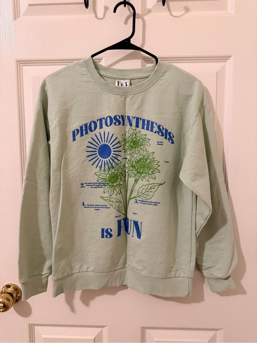 Photosynthesis Graphic Long-Sleeve Tee in Light Sage